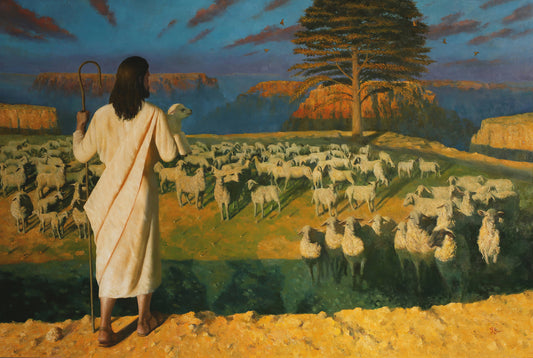 SHEPHERD’S LOVE